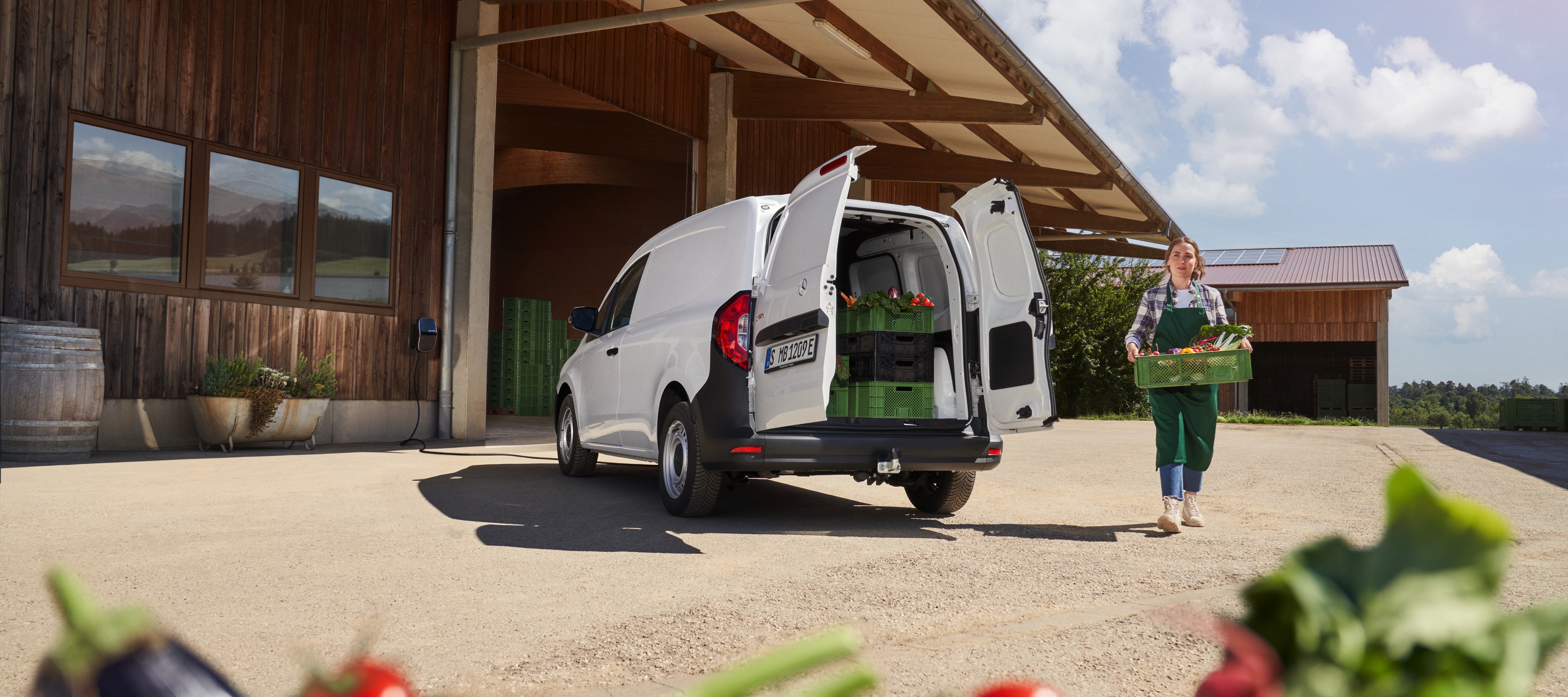 Van ProCenter | Veicoli commerciali Mercedes-Benz Mercedes-Benz Citan con vano di carico aperto.