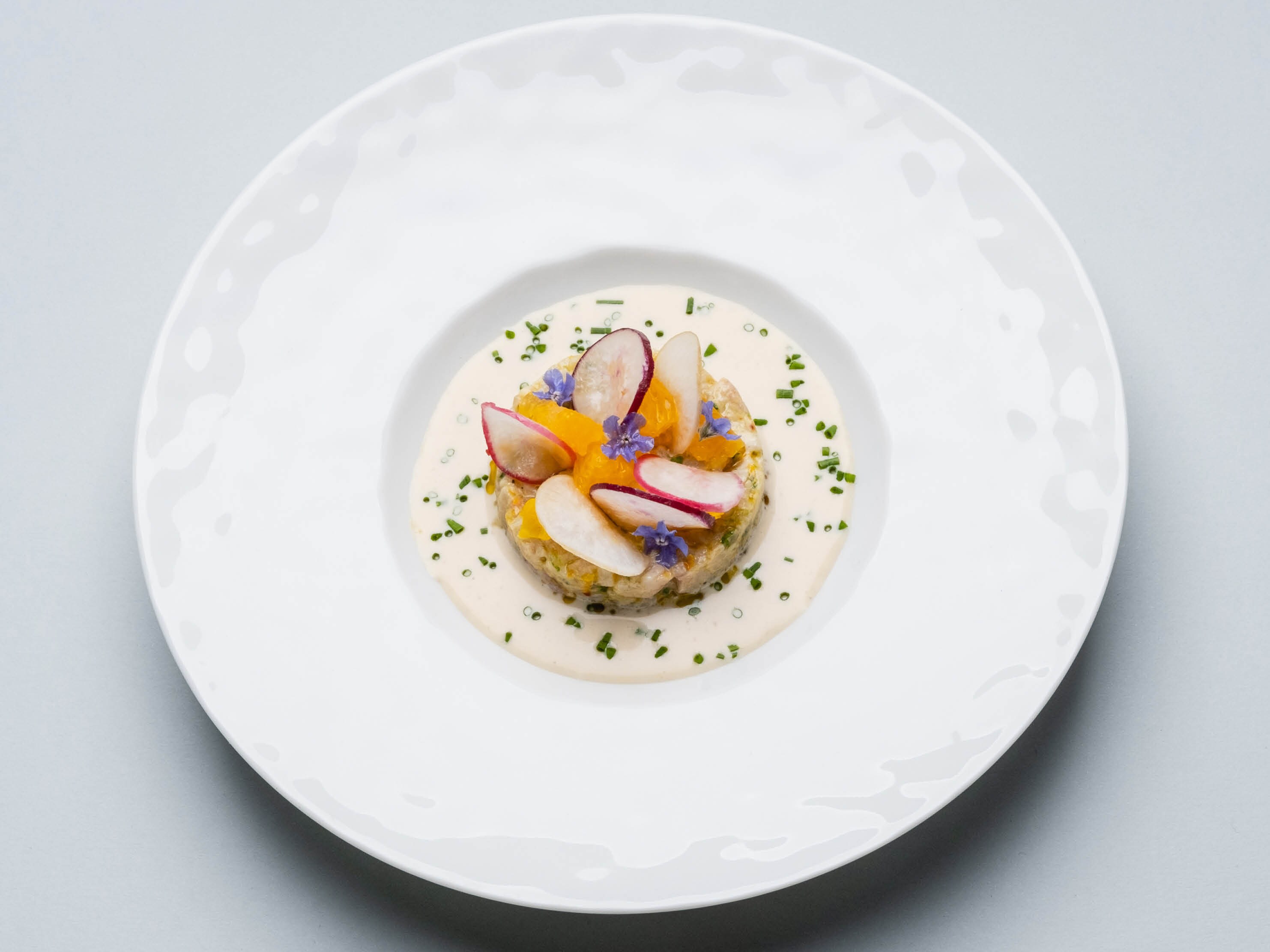 Newsletter Gastronomia