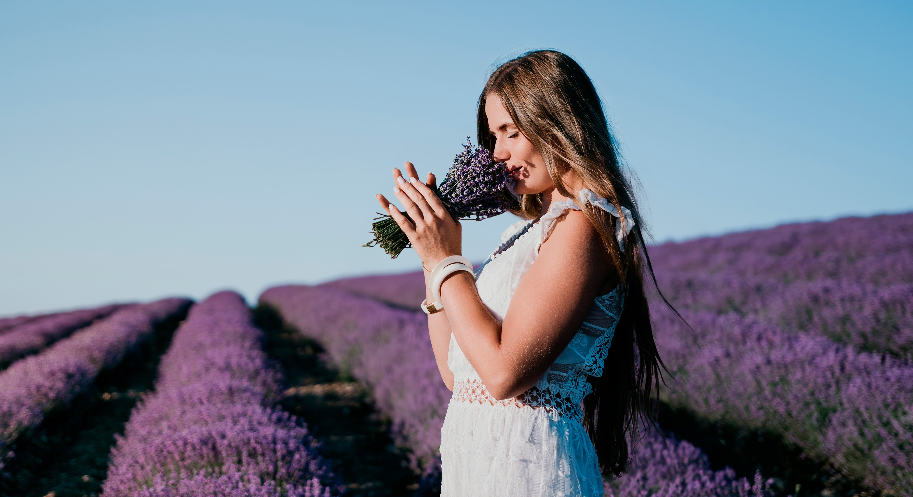 Femme dans un champ de lavande qui sent la lavande. Femme dans un champ de lavande qui sent la lavande.