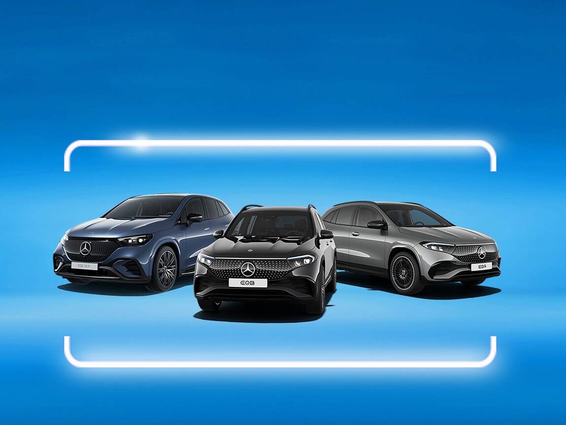 Aktuelles Occasionsangebot