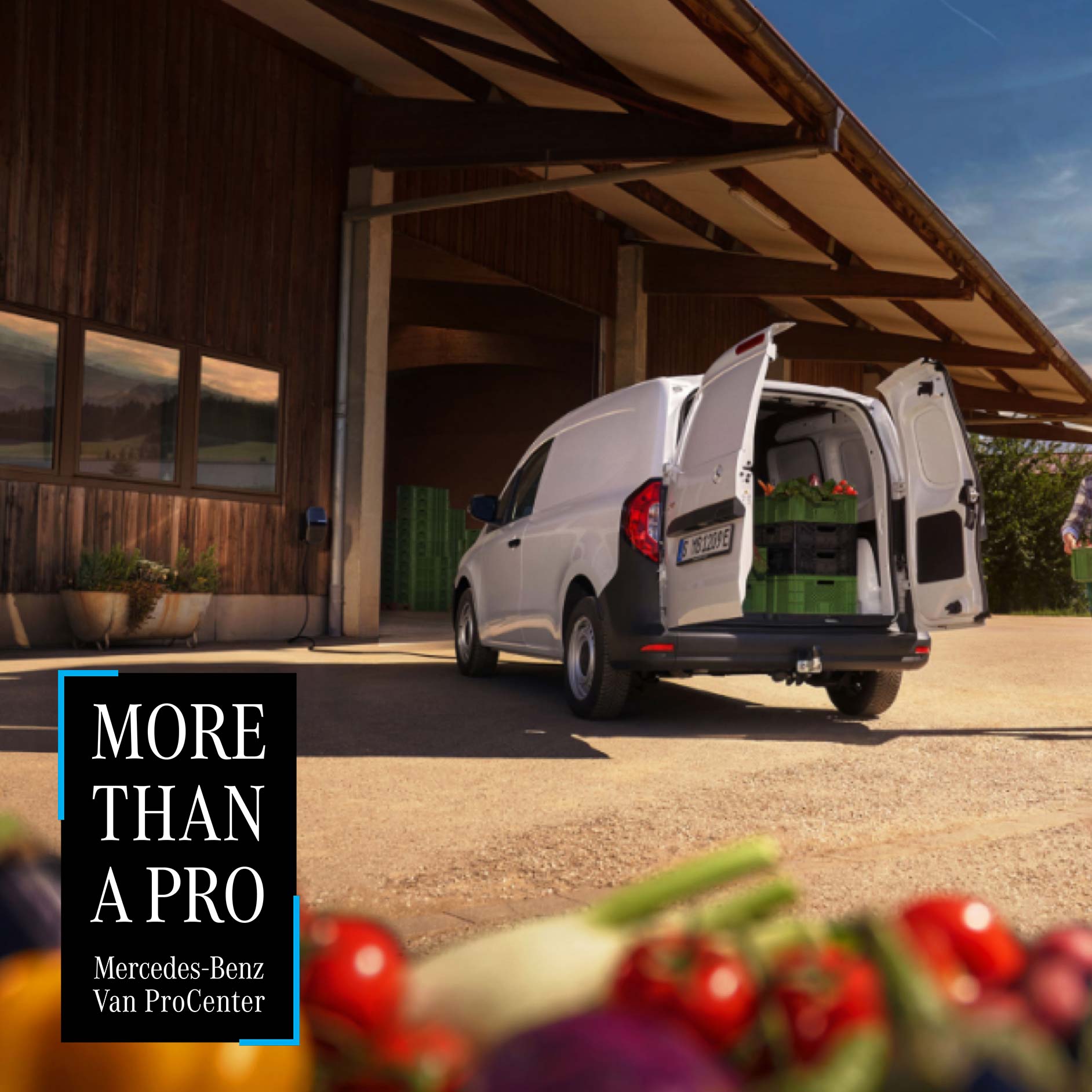 Perfetta adattabilità | Mercedes-Benz Van ProCenter Mercedes-Benz Citan con portelloni posteriori aperti.